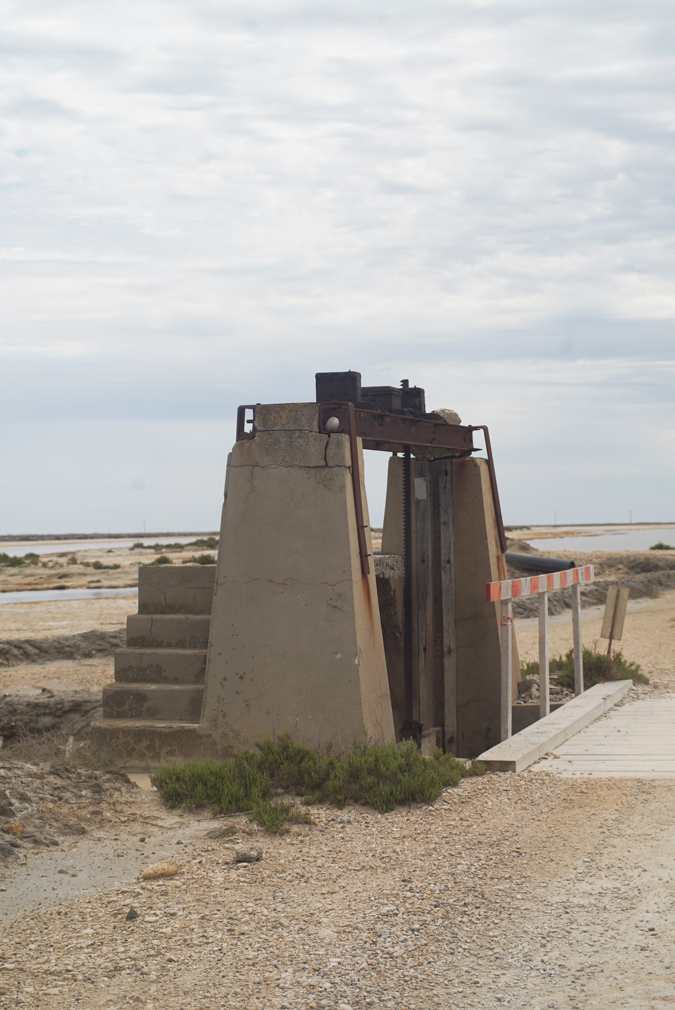 Peter Behrbohm Sonder Salicornication Atelier Luma Arles
